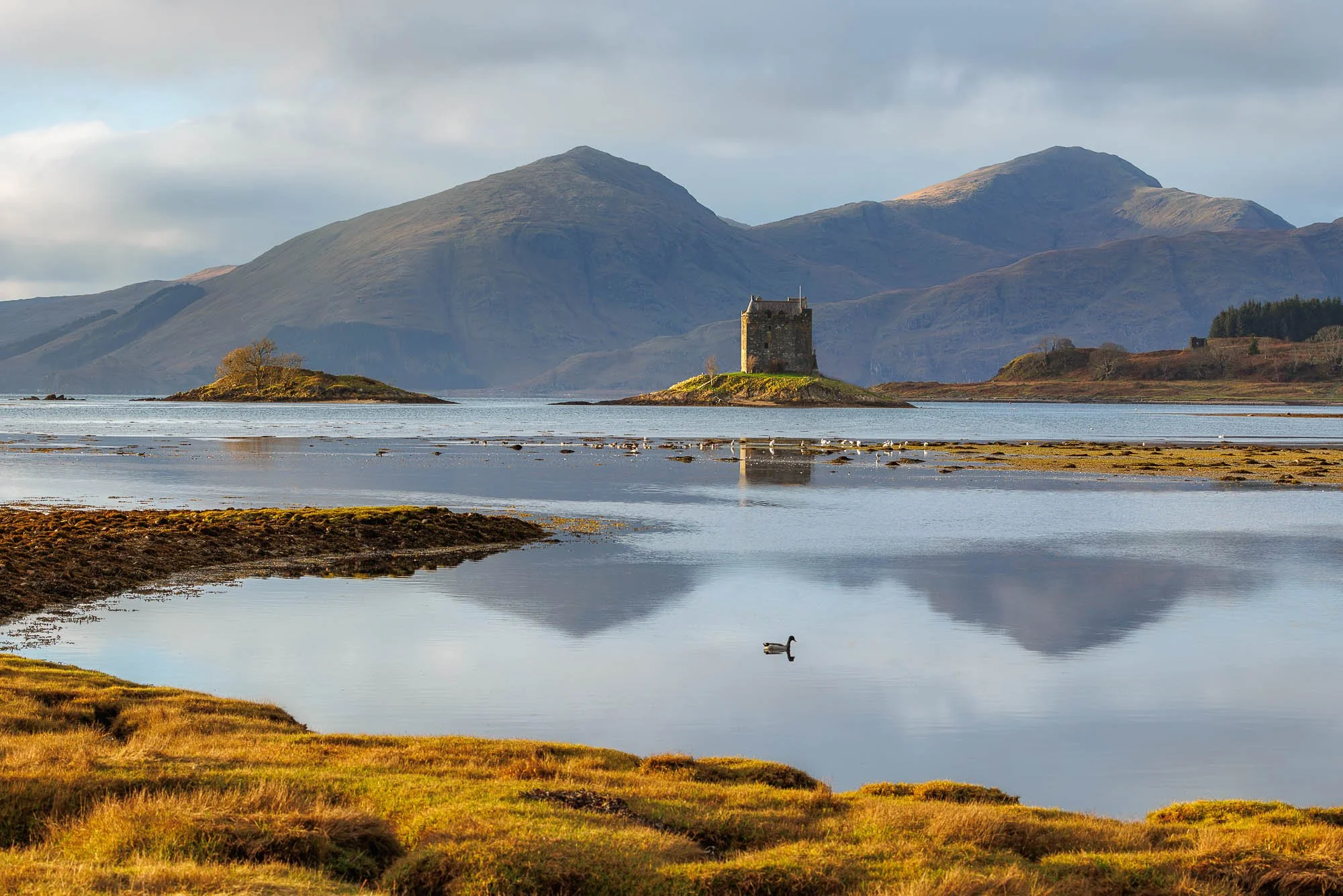 Jack Lodge Photography-Latest-_R5_4330-Edit-Edit.jpg