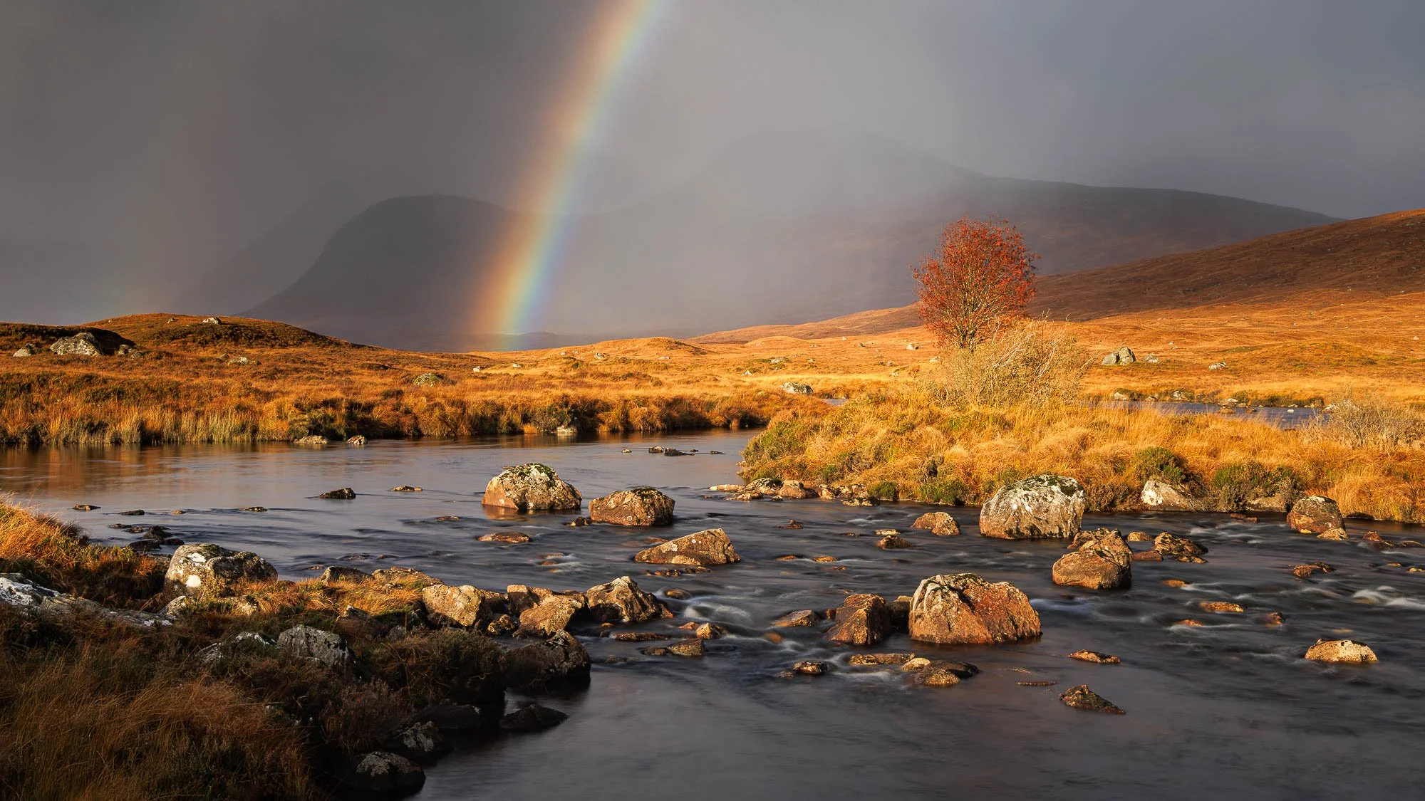 Jack Lodge Photography-Latest-_JL_3239-Edit.jpg