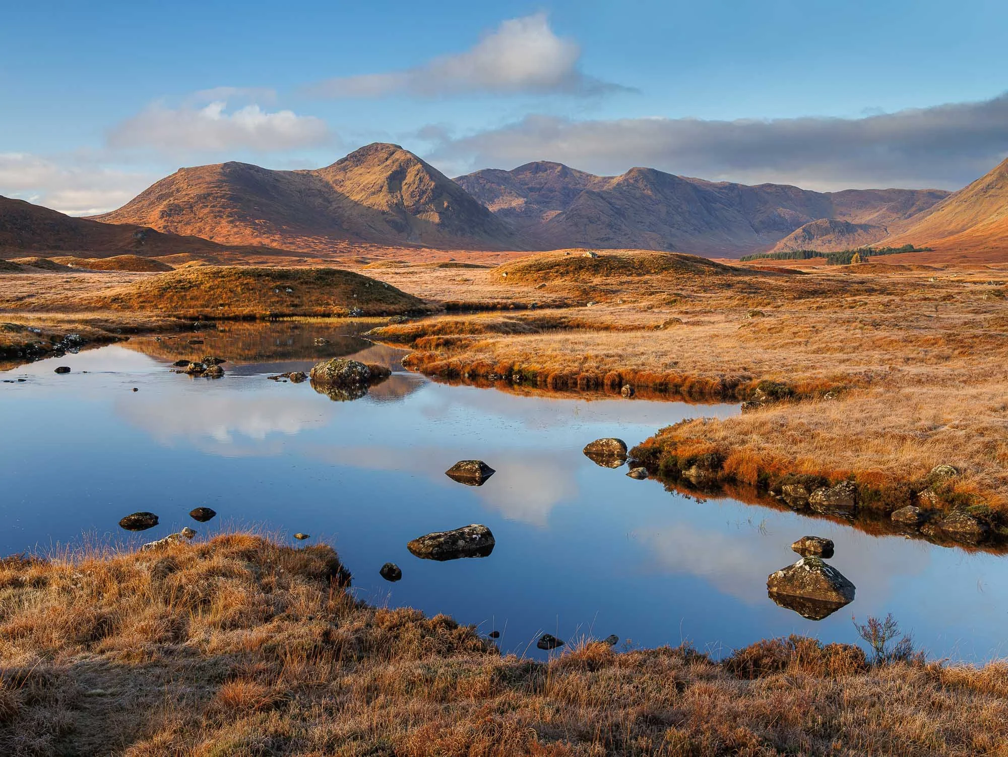 Jack Lodge Photography-Latest-_JL_3481-Edit.jpg