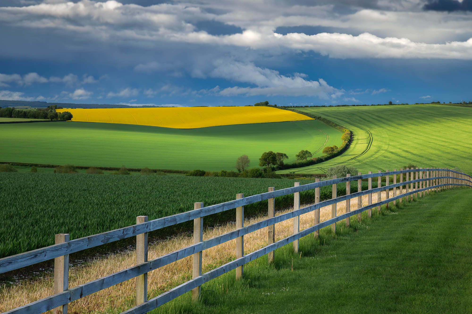 Jack Lodge Photography-Latest-_JL_2441-Edit.jpg