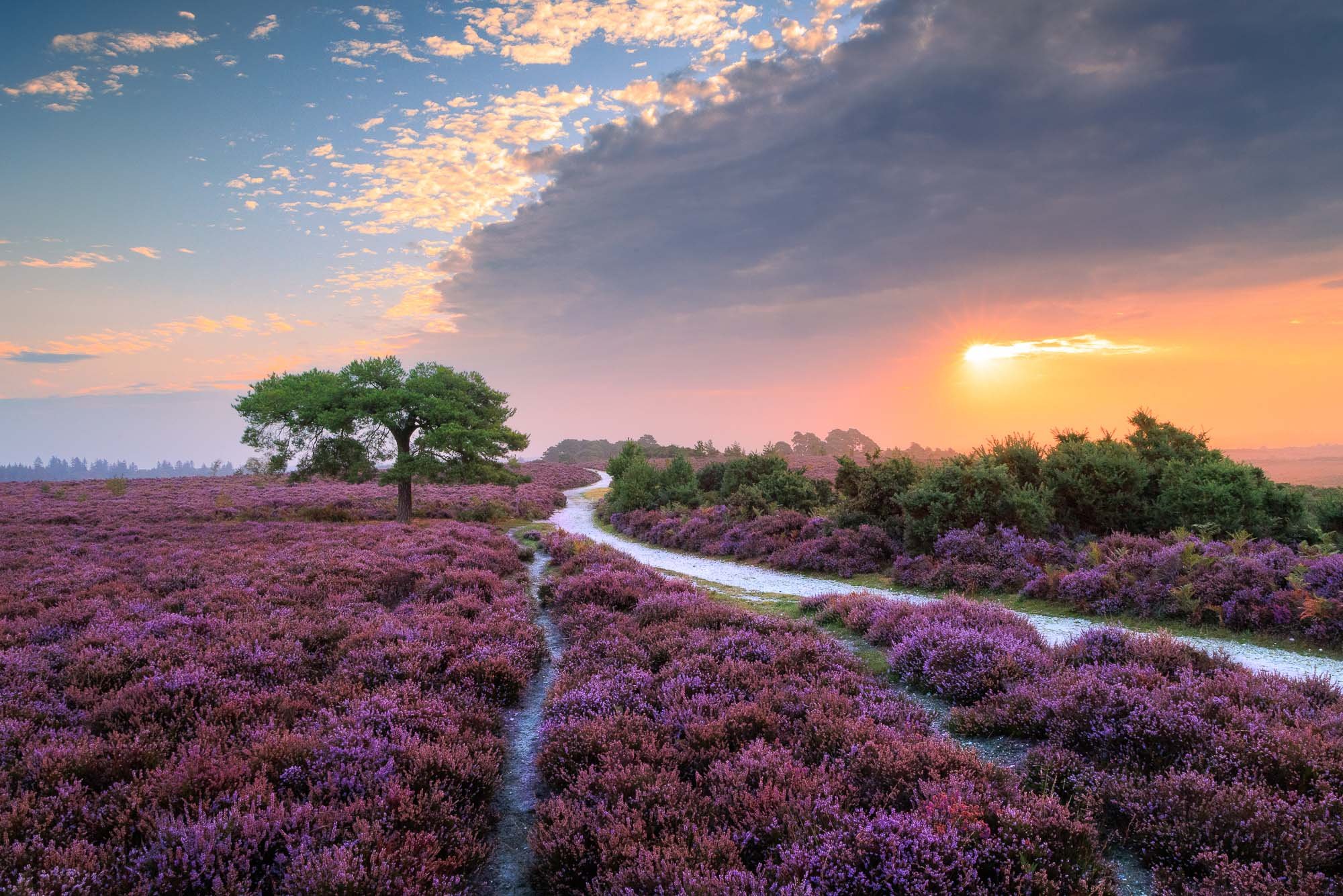 Jack Lodge Photography-Latest-_R5_3726-HDR-Edit.jpg