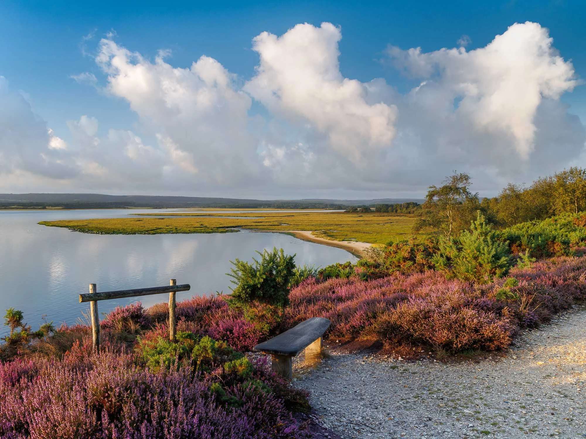 Jack Lodge Photography-Latest-_52_0236-Edit.jpg