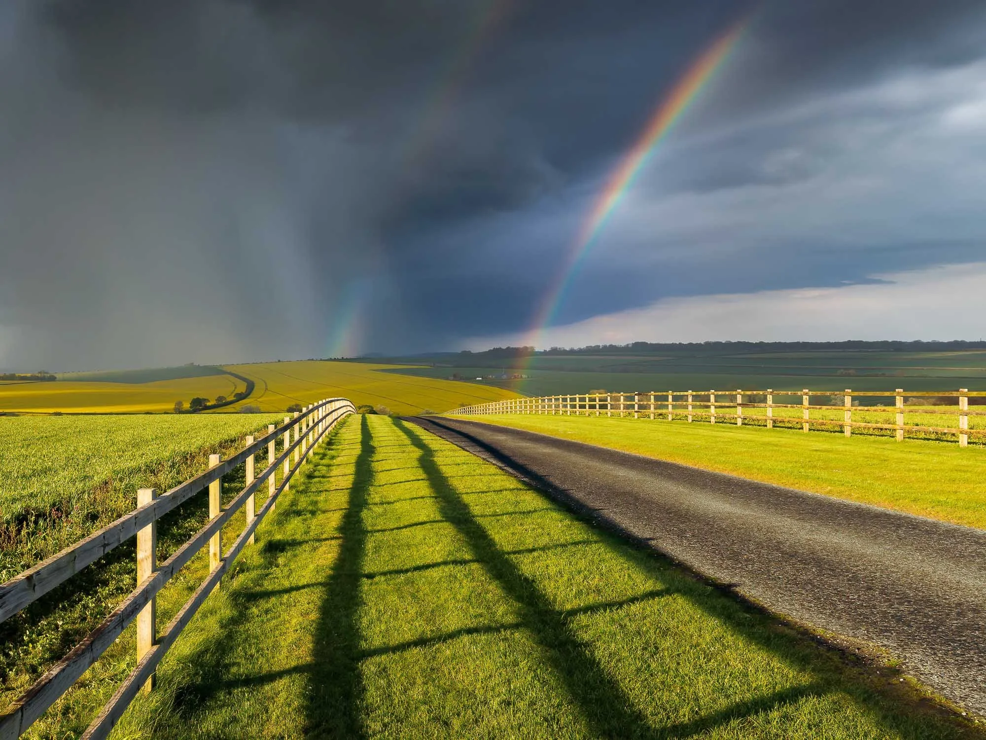 Jack Lodge Photography-Spring-_JL_6052-Edit-Edit-2.jpg