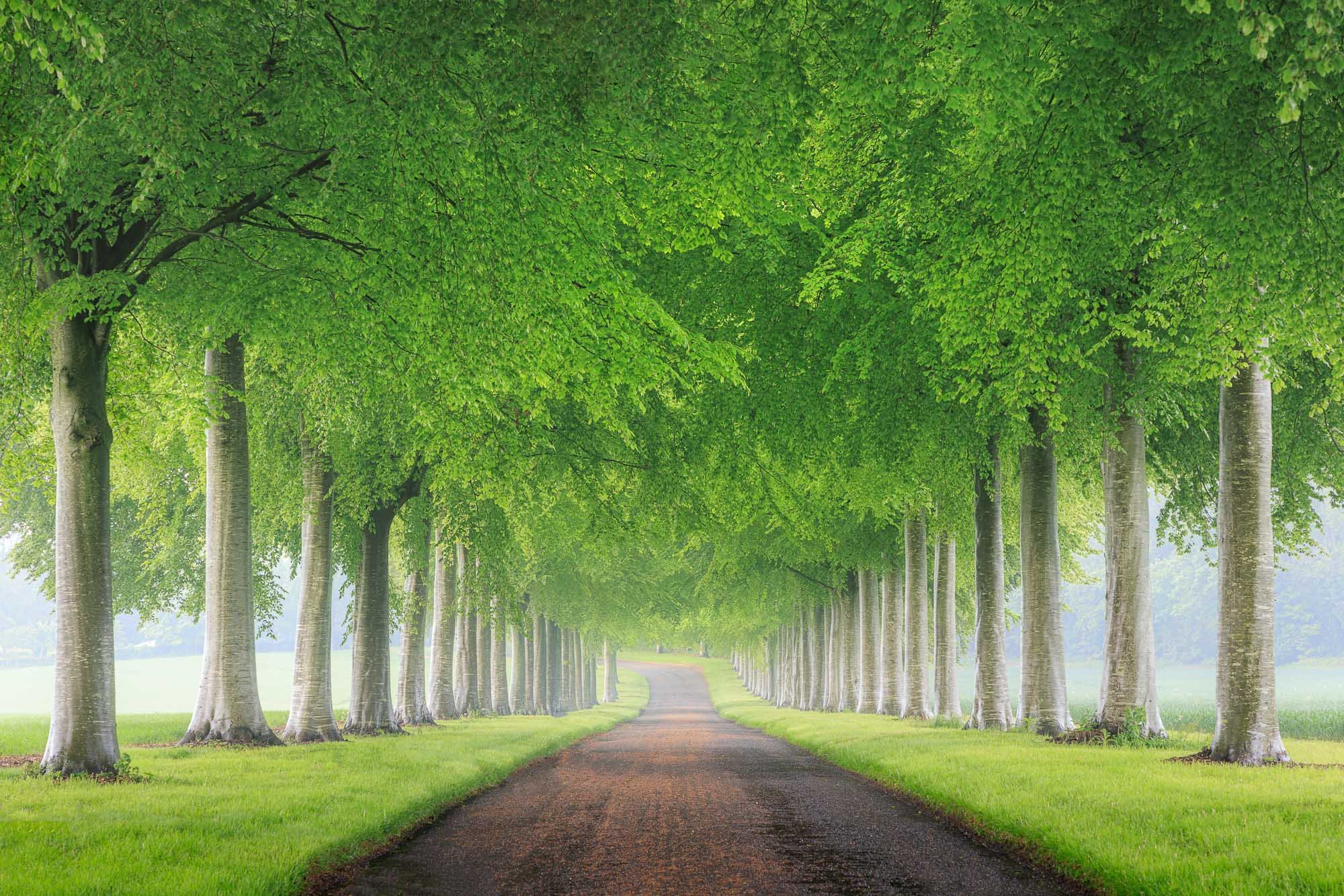 Jack Lodge Photography-Latest-_JL_3013-Edit-Edit.jpg