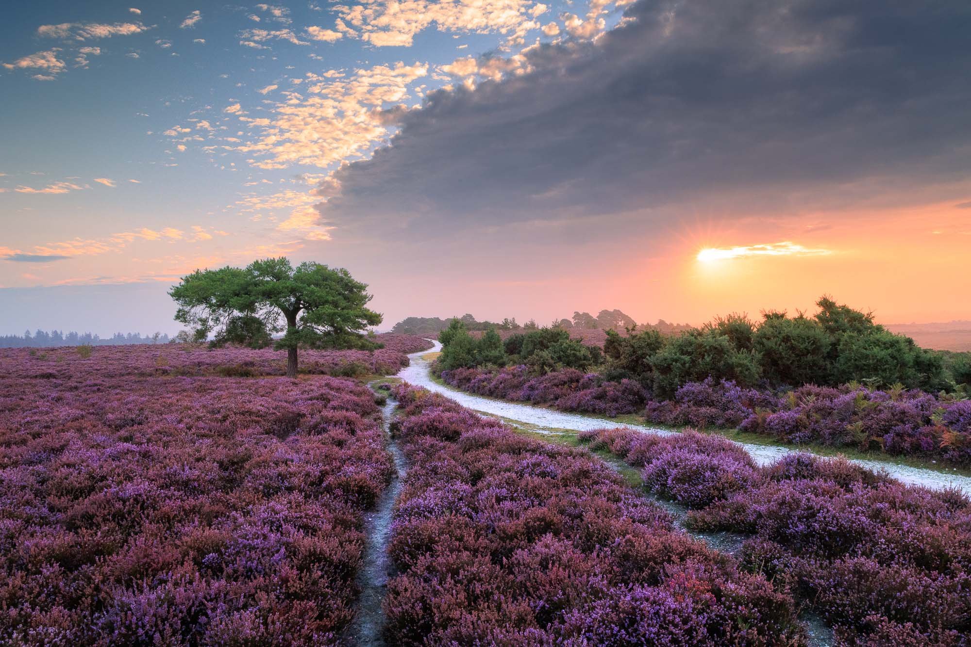 Jack Lodge Photography-Latest-_R5_3726-HDR-Edit-2.jpg