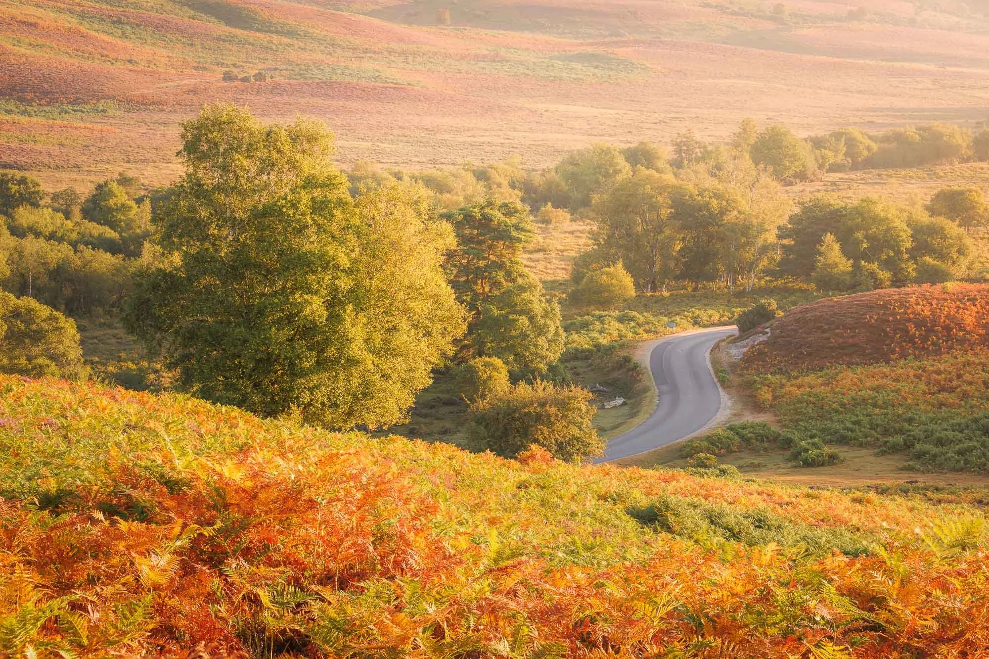 Jack Lodge Photography-Summer-_JL_4819-Edit.jpg