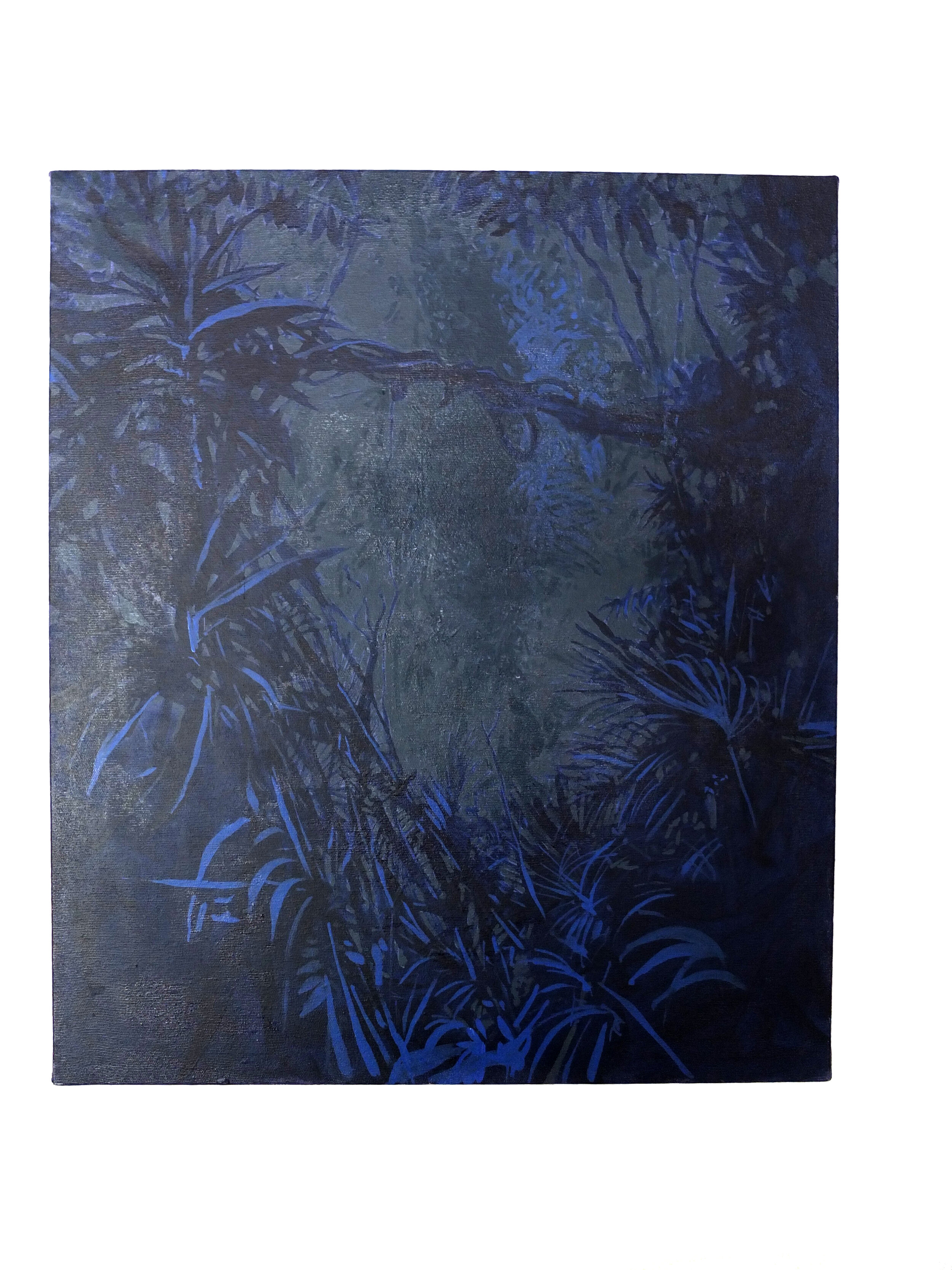 jungle at nigt V.jpg