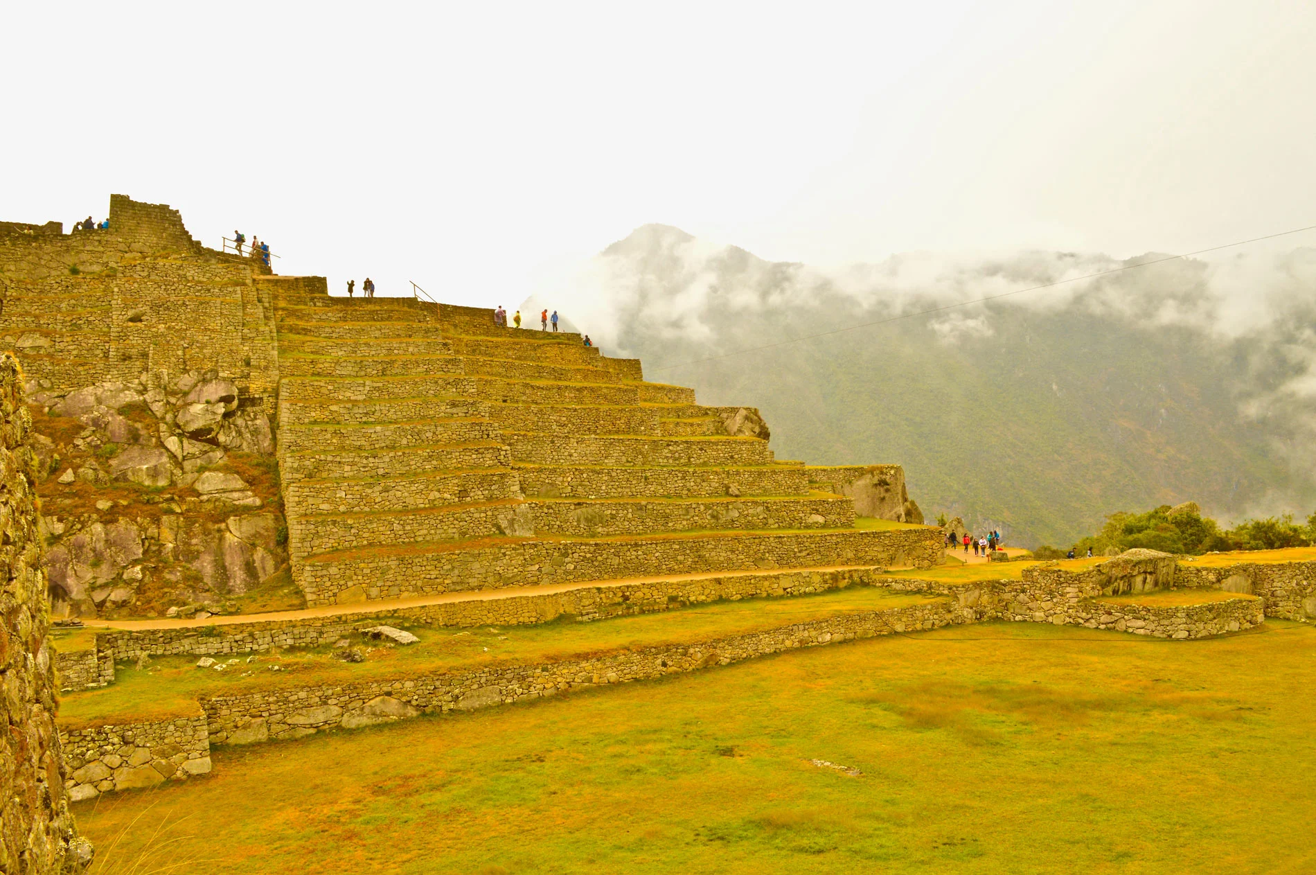 DSC_1132.jpg