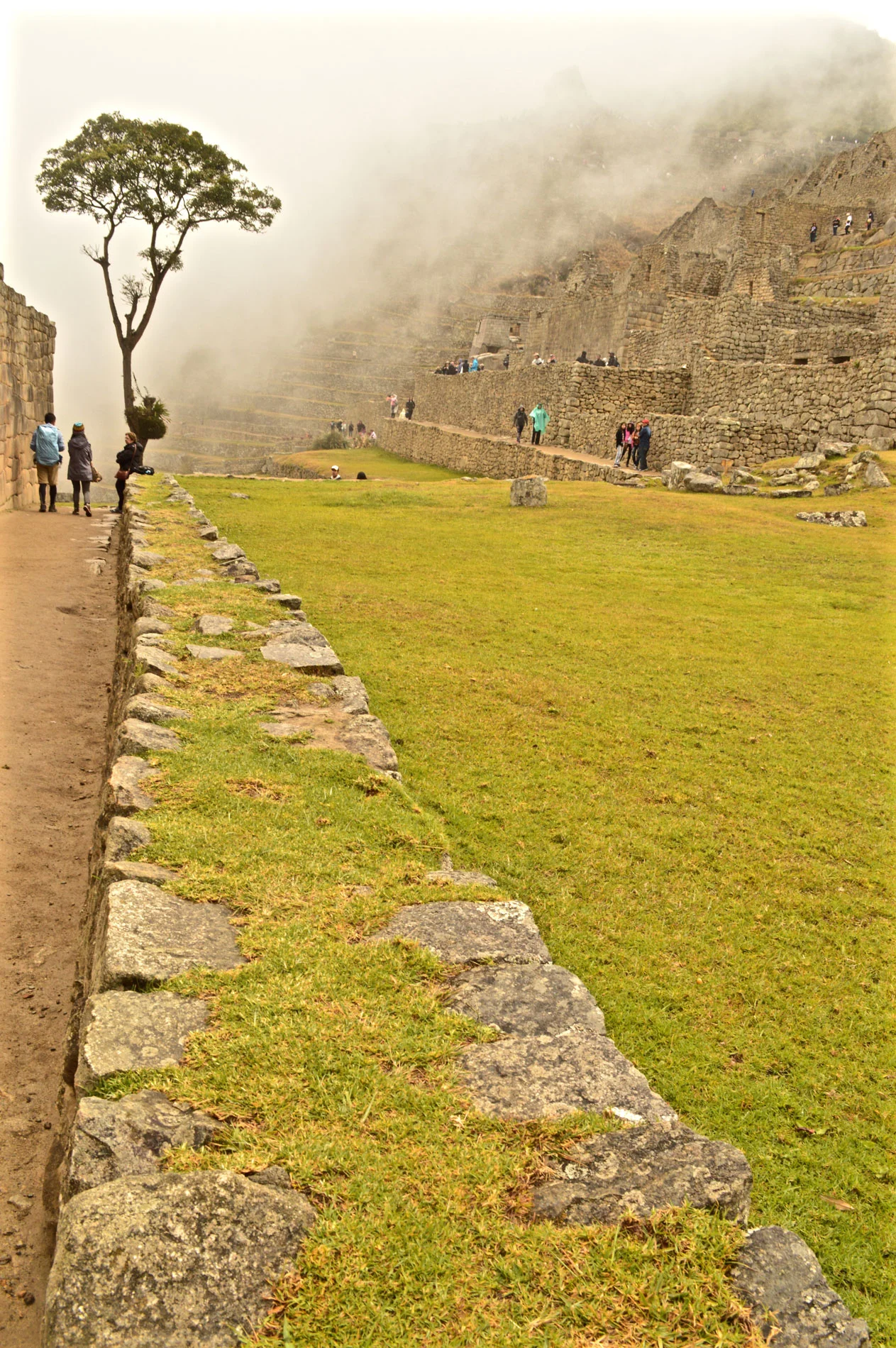 DSC_1130.jpg