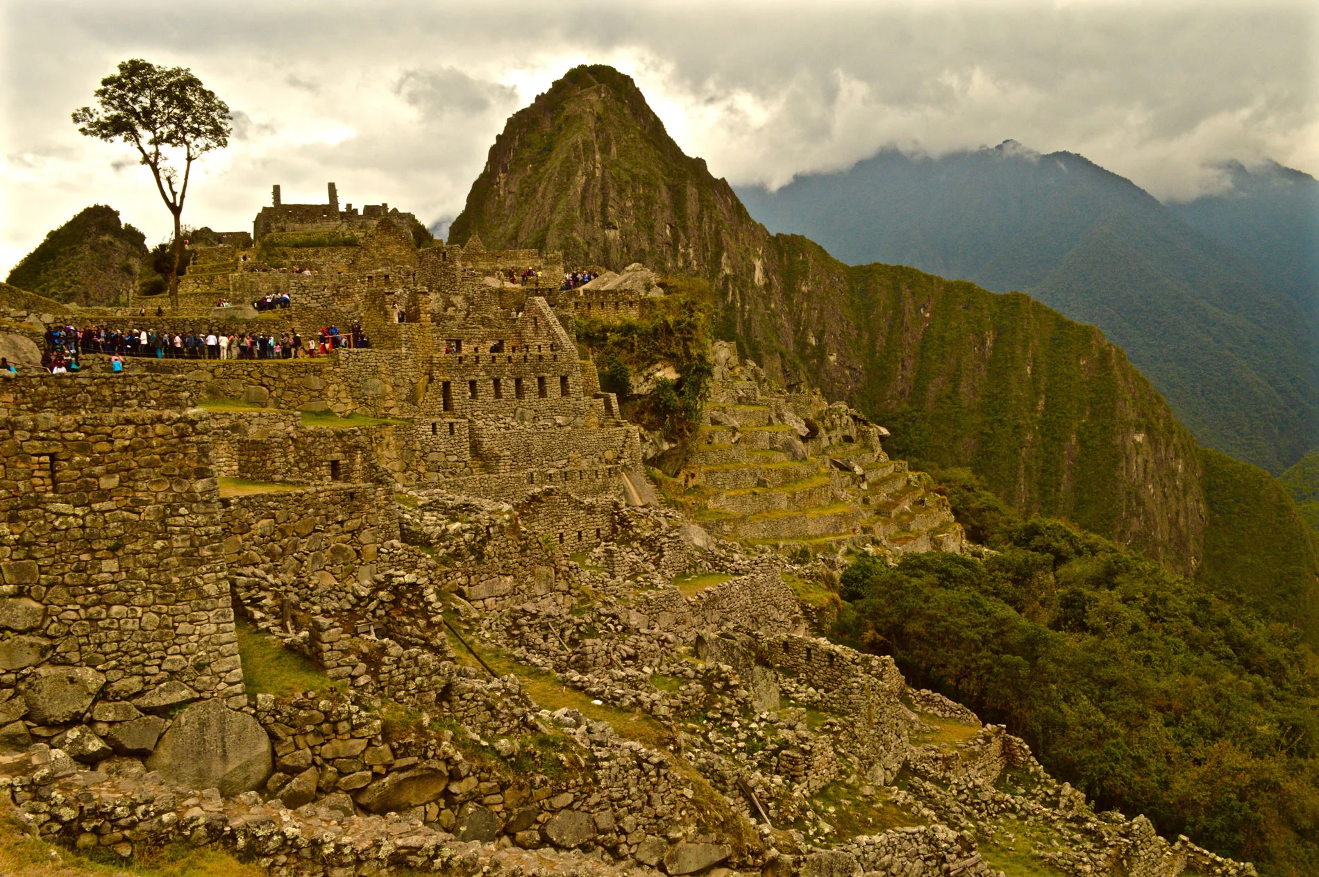 DSC_1124.jpg