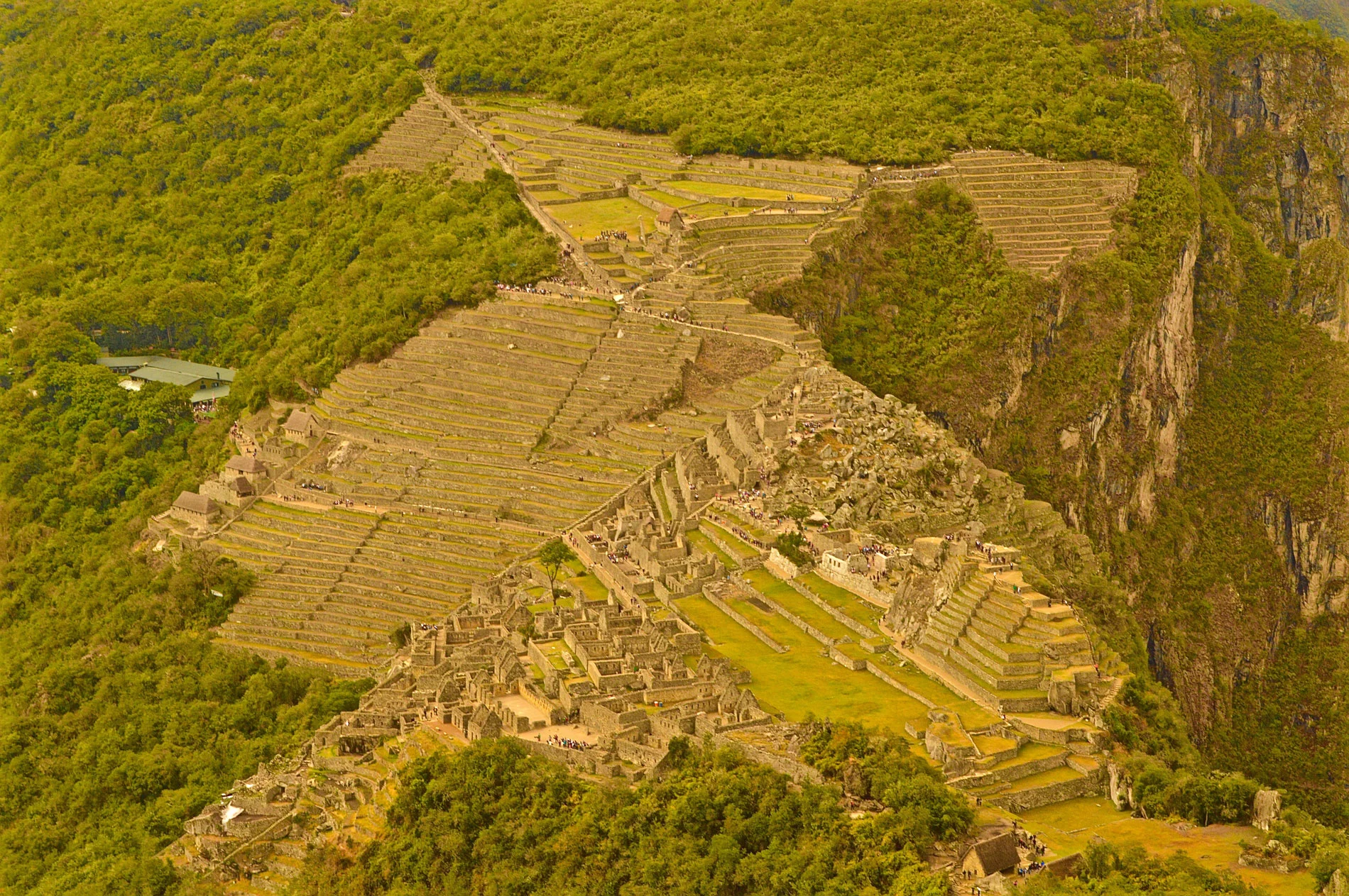 DSC_0967.jpg