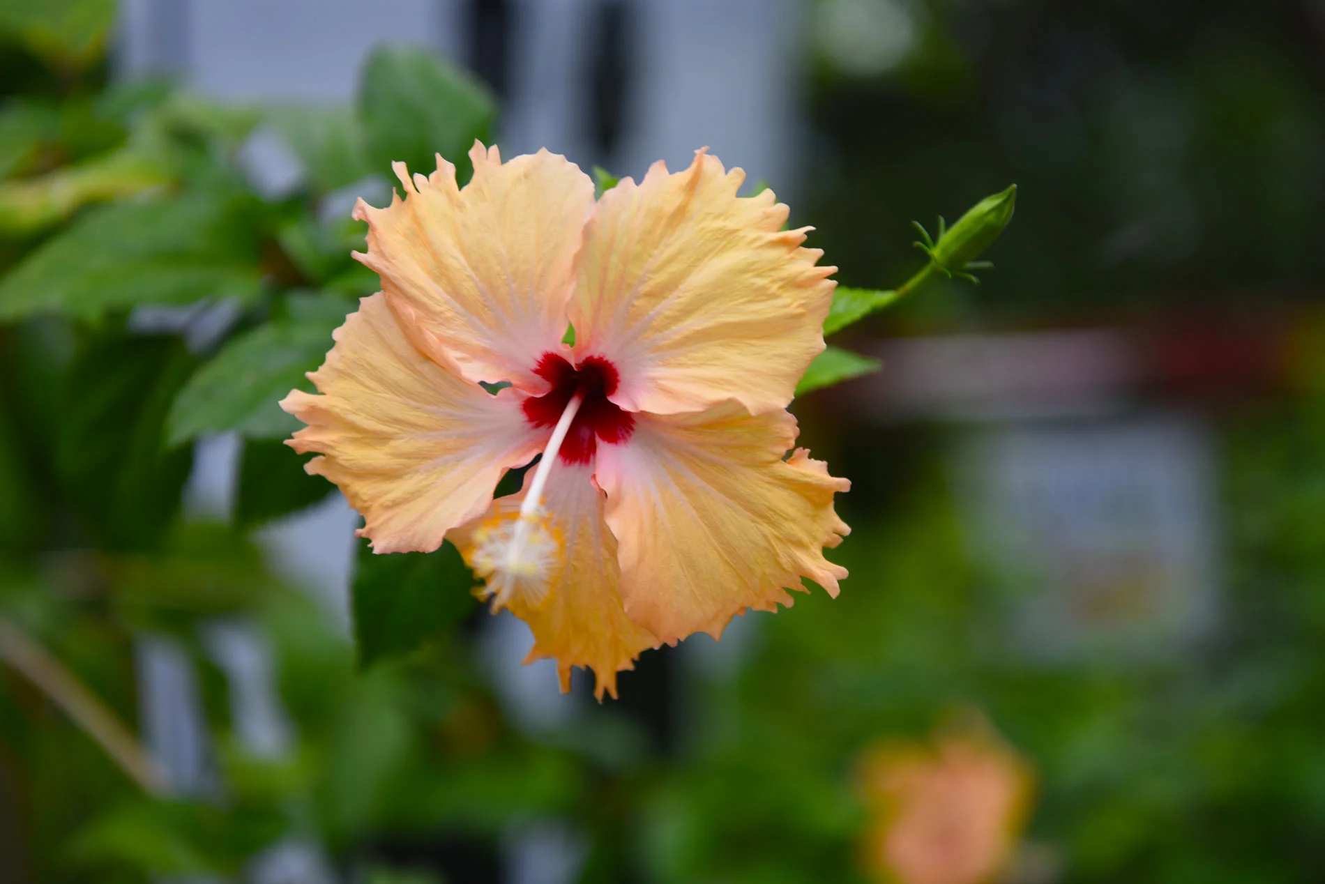DSC_5734.jpg