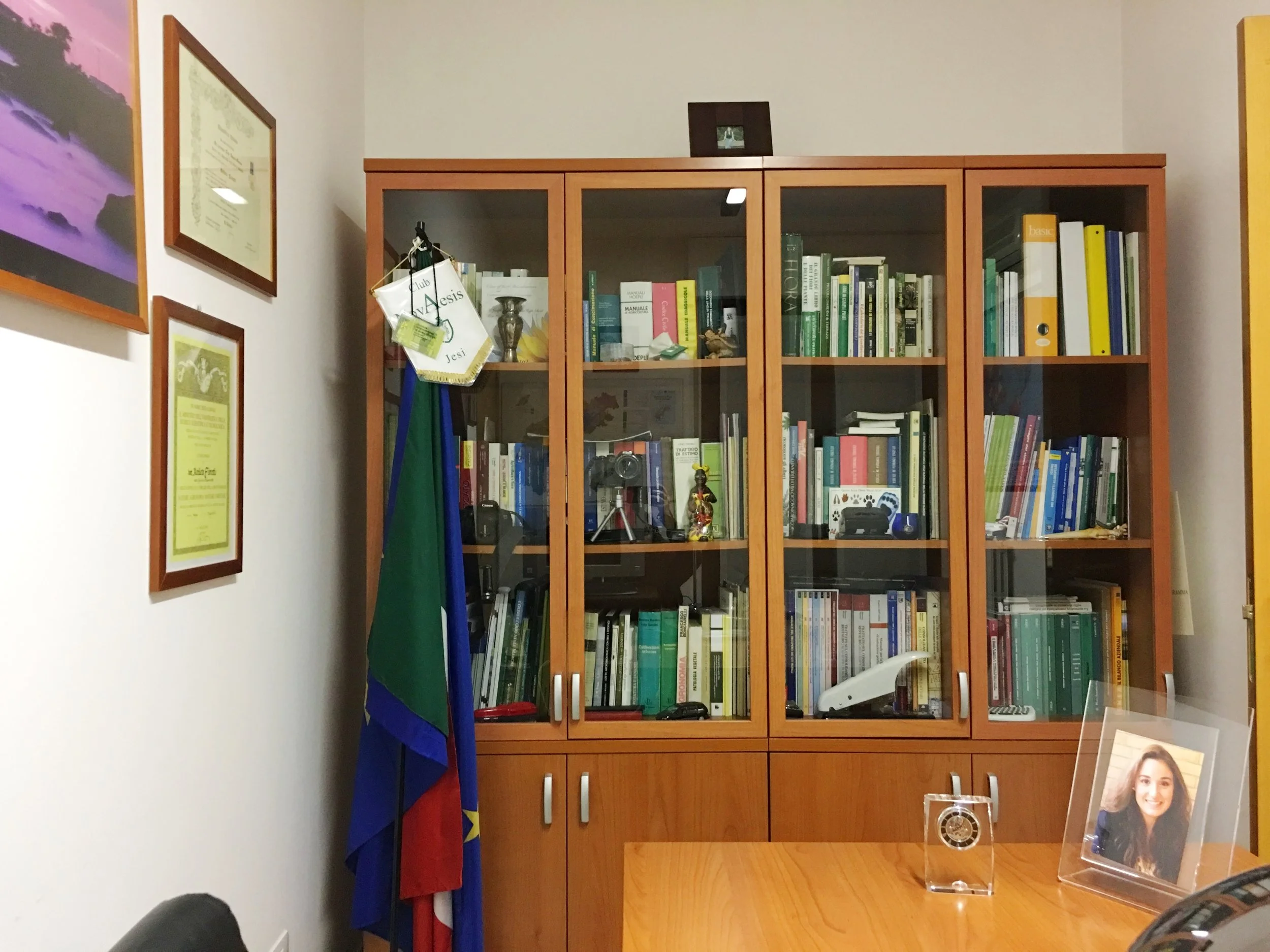 libreria.jpg