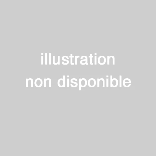 illustration.jpg