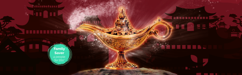 Aladdin-Website-Image-with-squiggle-1-800x250.jpg