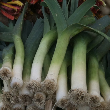 leeks.png