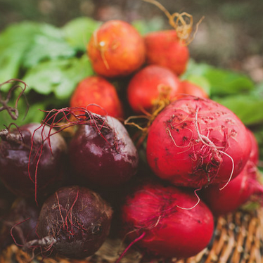 beets.png