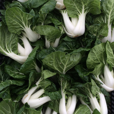 babybokchoy.png