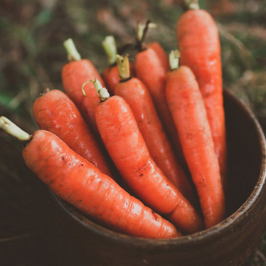 carrots.png