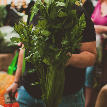 celery.png