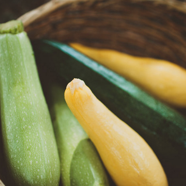 summersquash.png