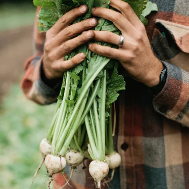 turnips.jpg