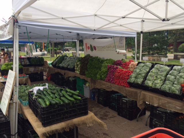 All this and more, this Saturday in Hingham and Braintree!