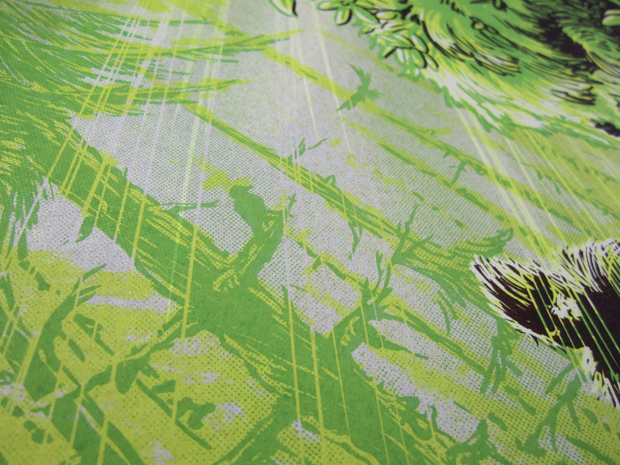19_Bigfoot_screenprint_Detail02.jpg