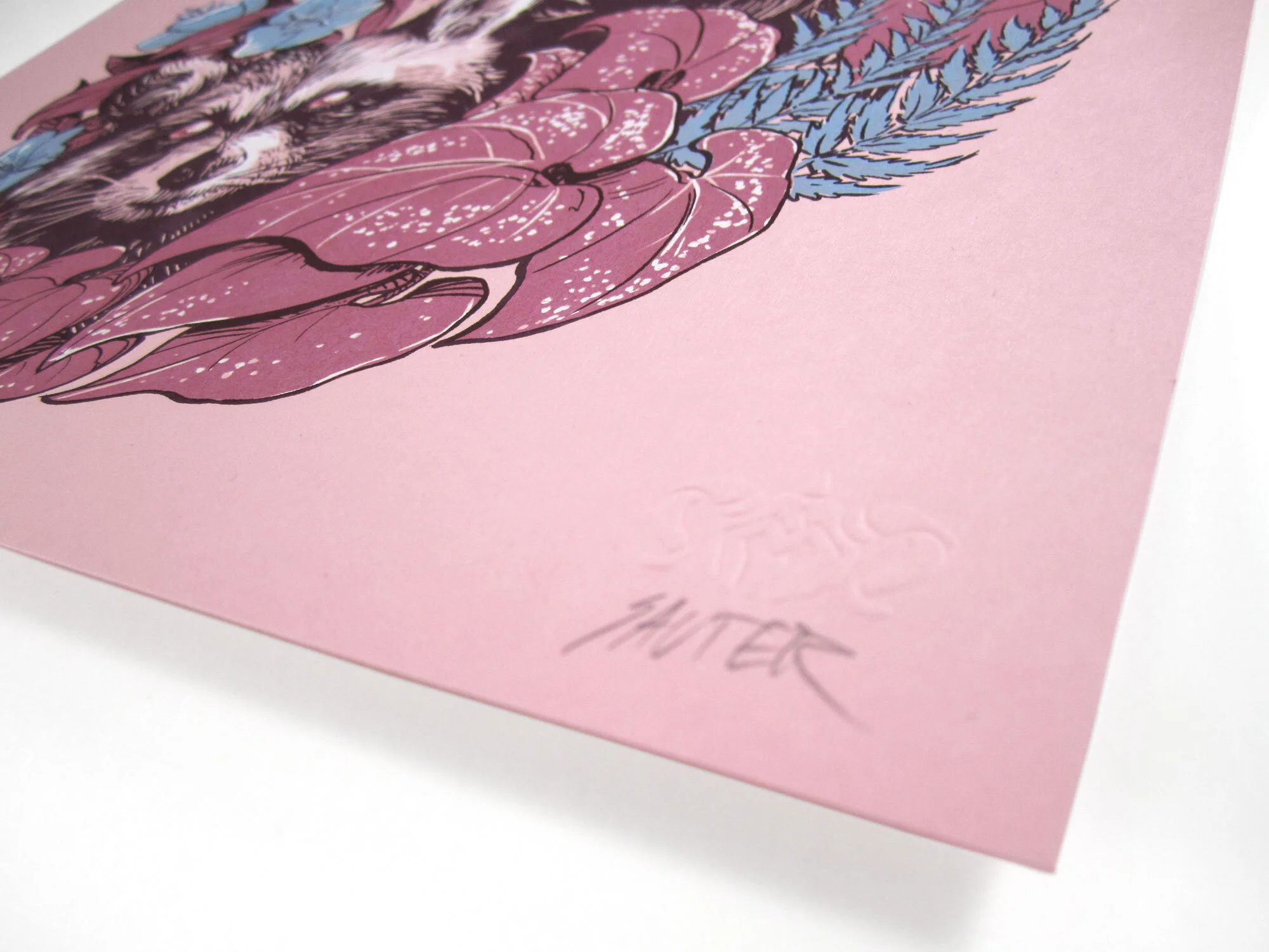 20_Raccoons_Pink_Detail_01.jpg