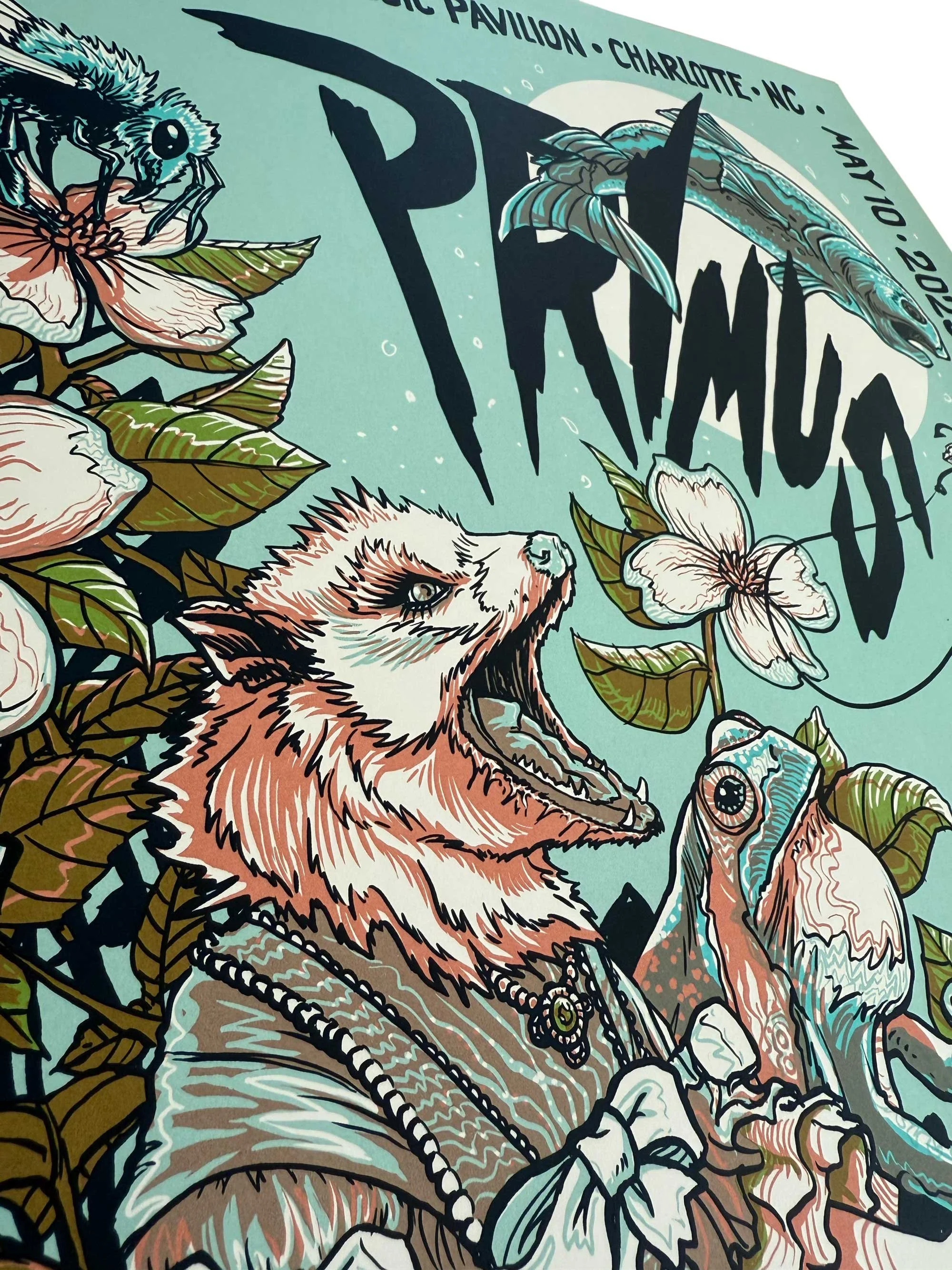 Primus_2354.jpg