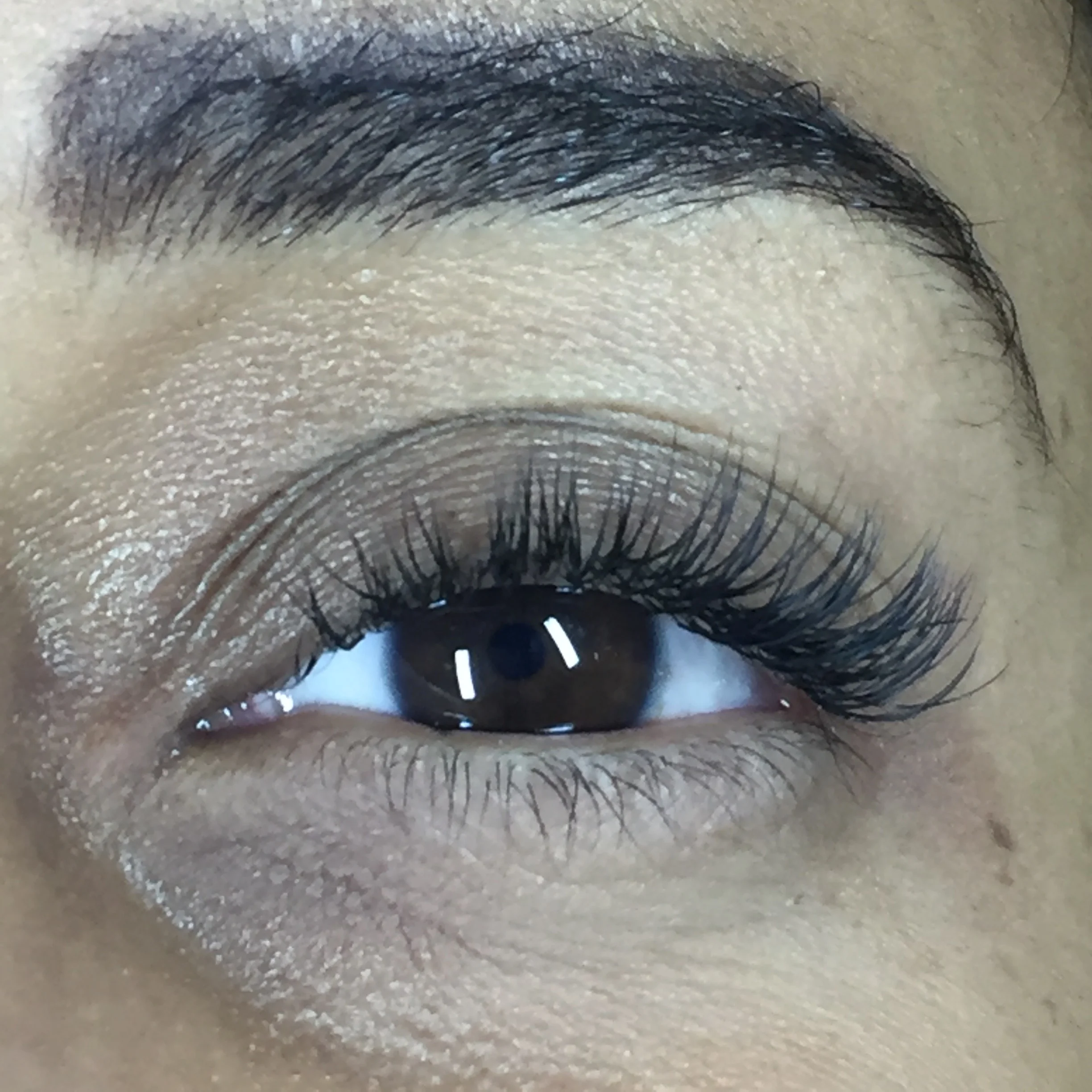 Classsic Lashes.jpg