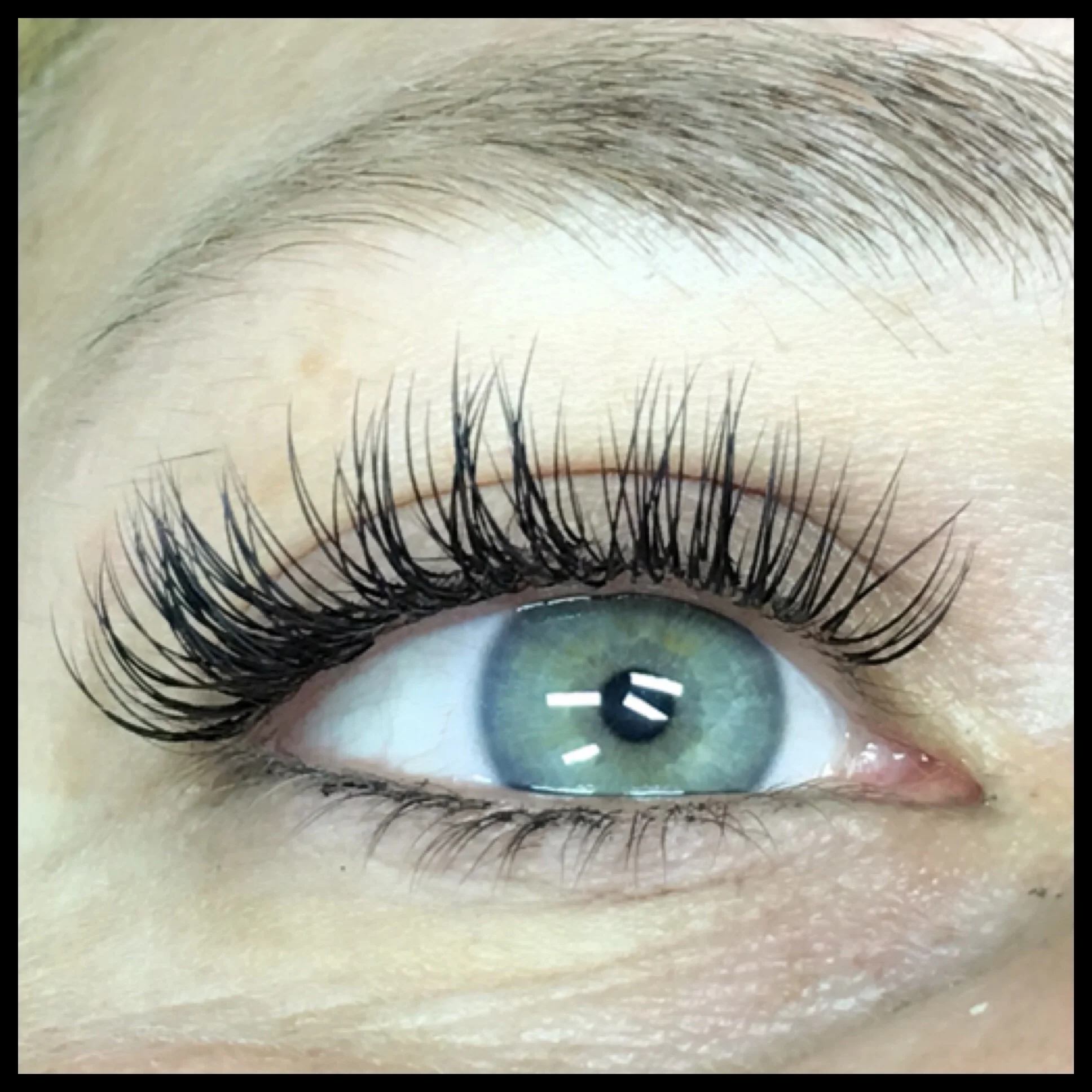 Classic Lash.jpg