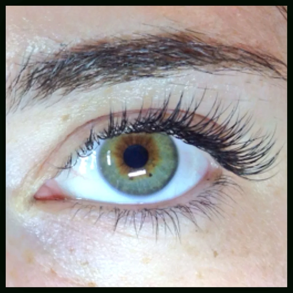 CCurl Natural Lashes.JPG