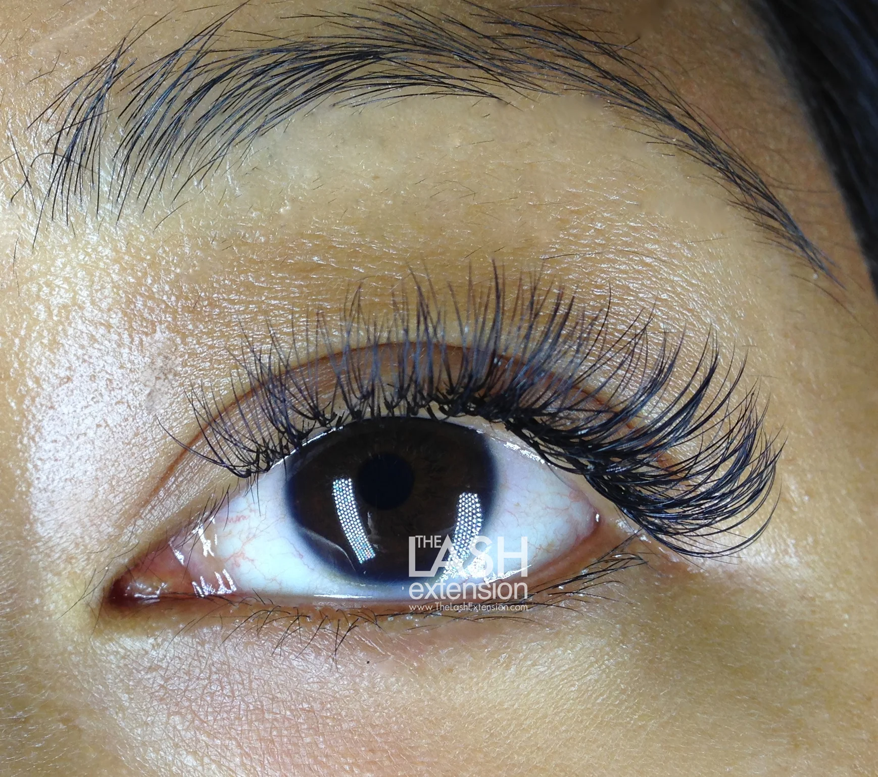 Classic D Curl Open Eye.jpg