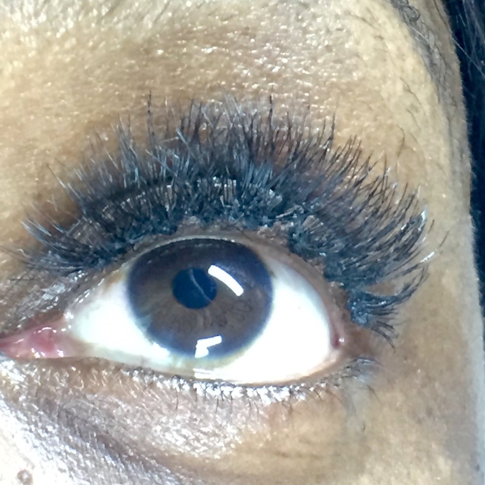 The Lash Extension The Lash Extension