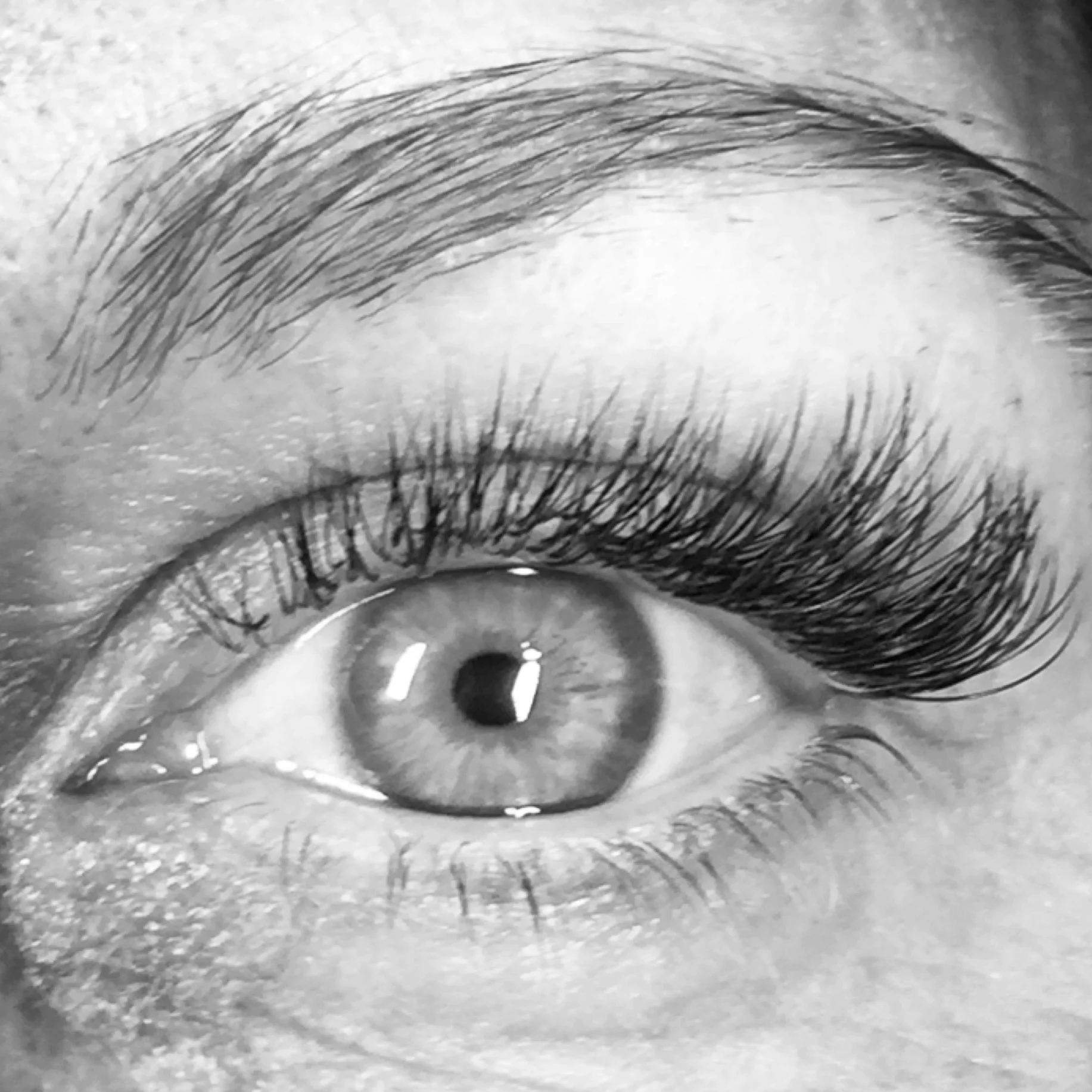 Mix Lashes.jpg