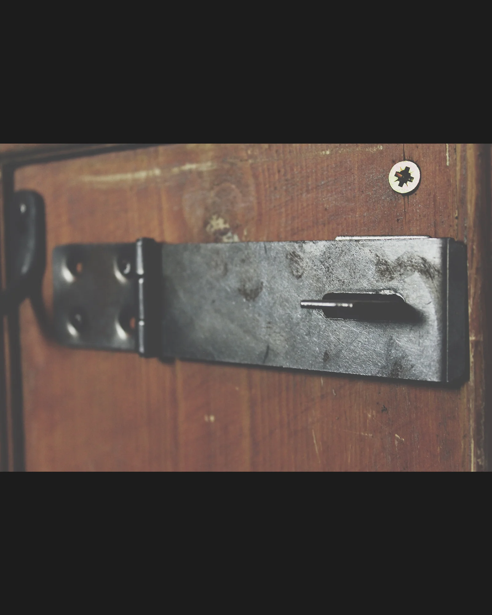 Hasp and Staple 4.5"