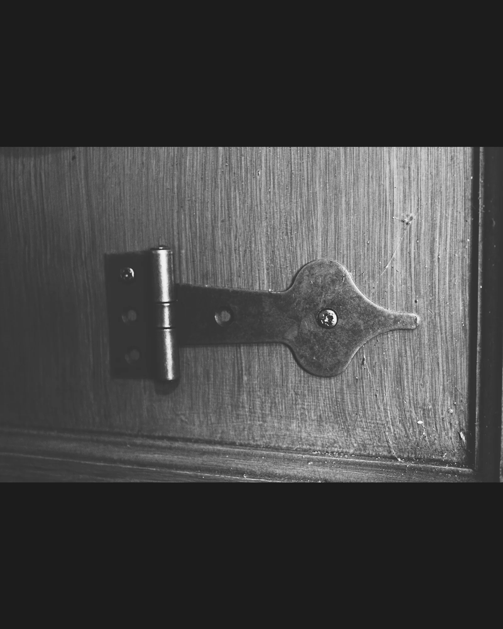 Spearhead Hinge 100mm