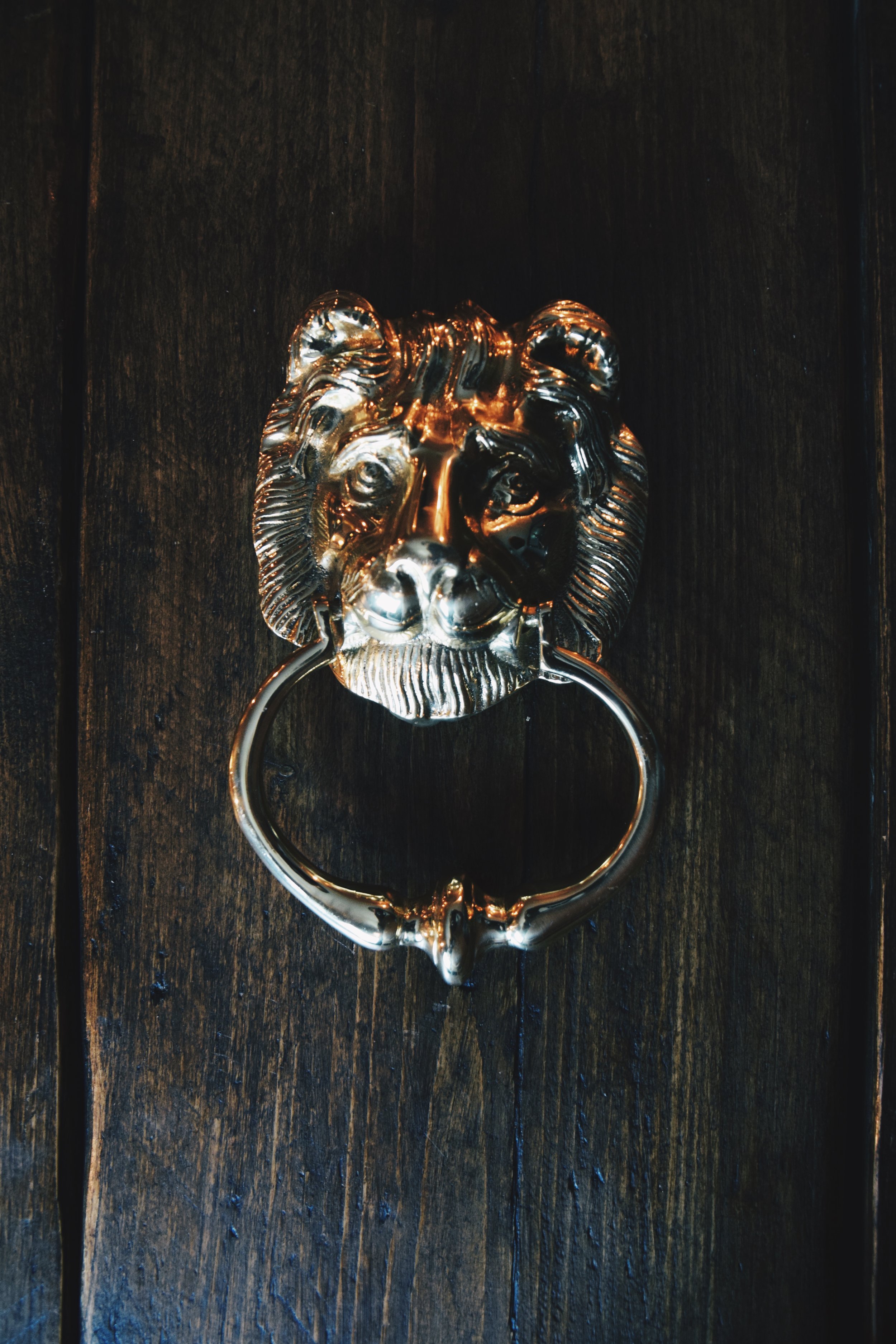 Solid Brass Lion Head Door Knocker