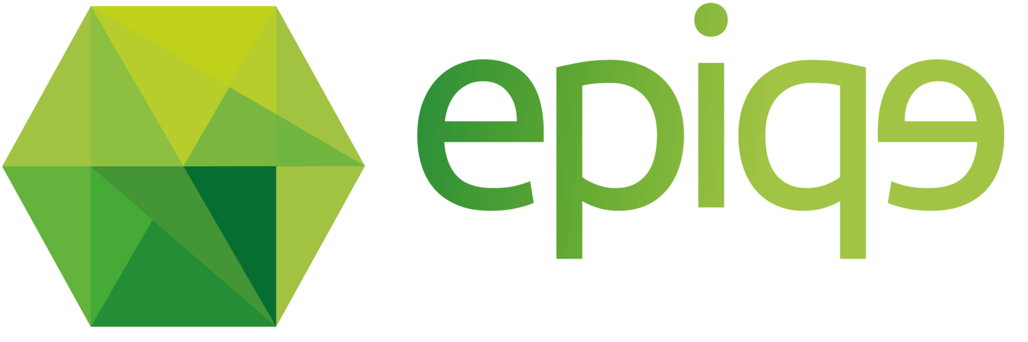 epiqe - digital strategies