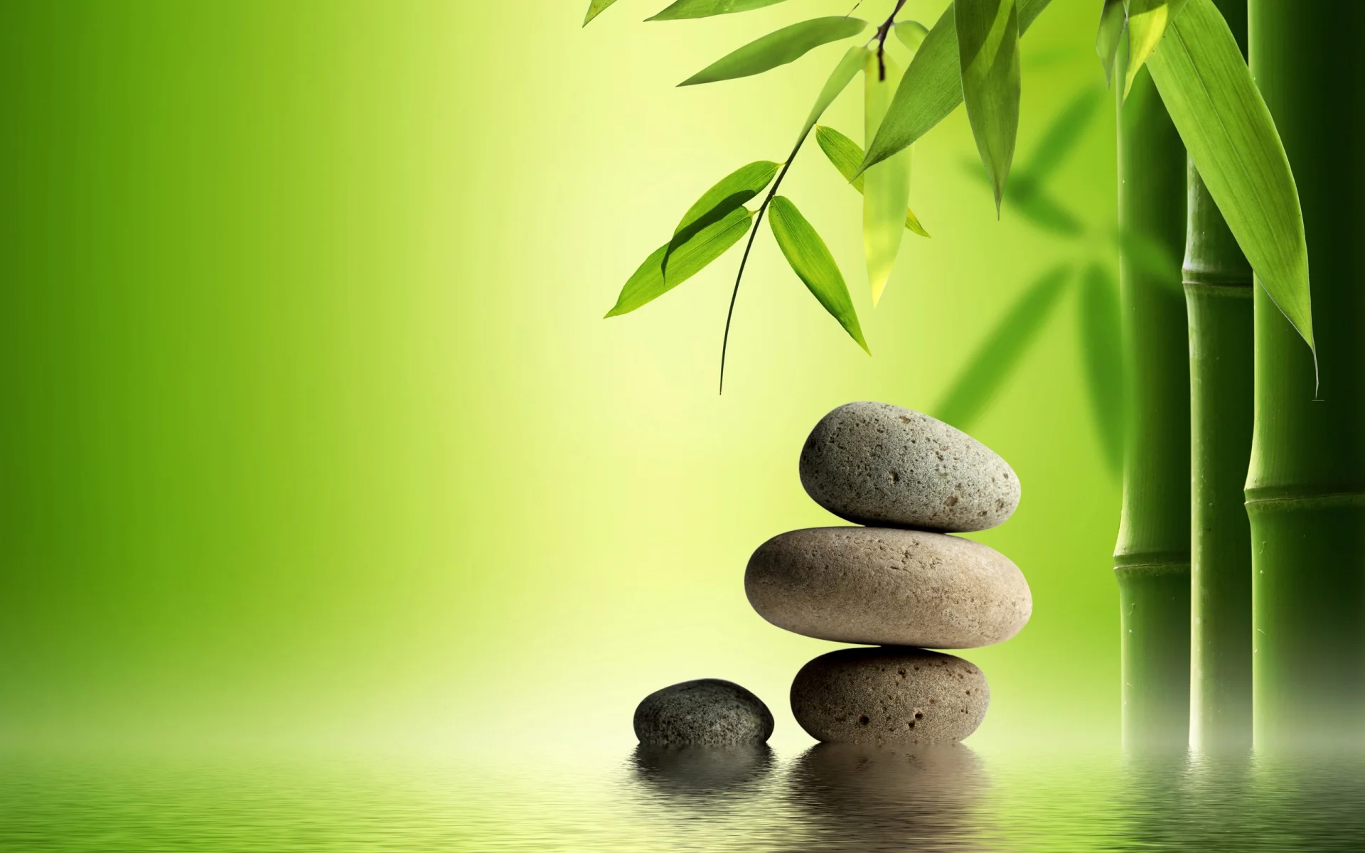 Bamboo-Stone-1920x1200.jpg
