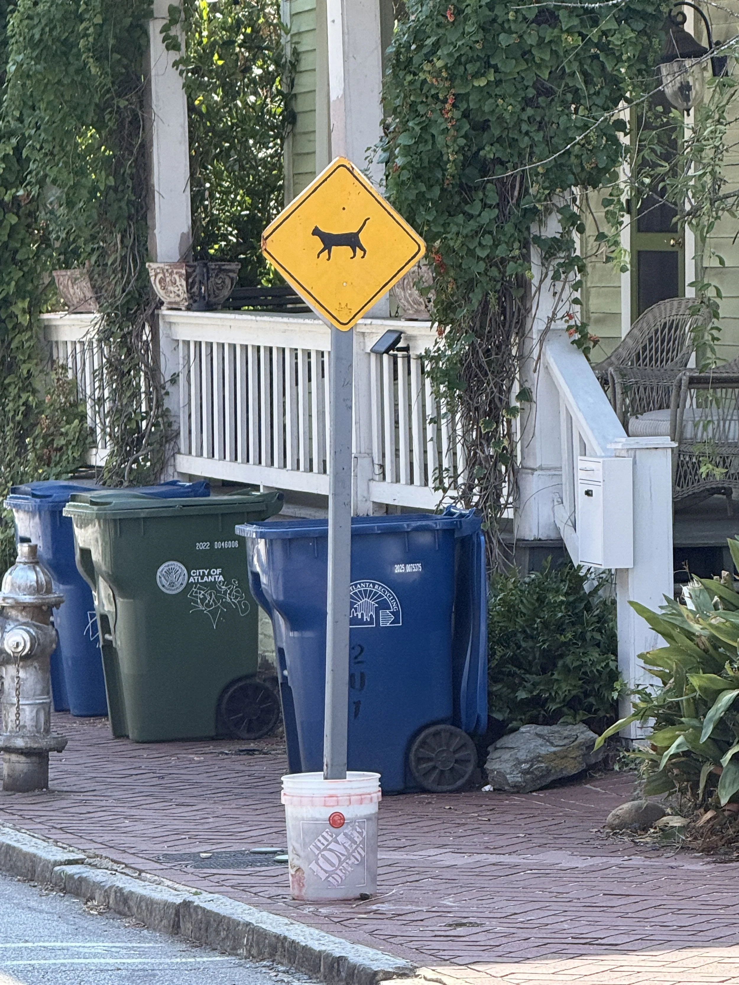 IMG_3819.JPG