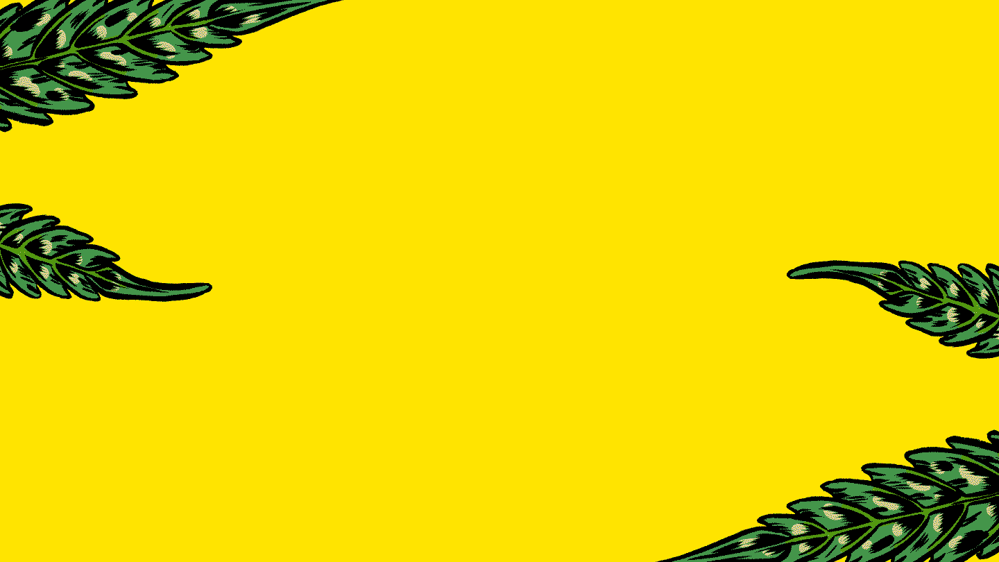 CroppedC4.gif