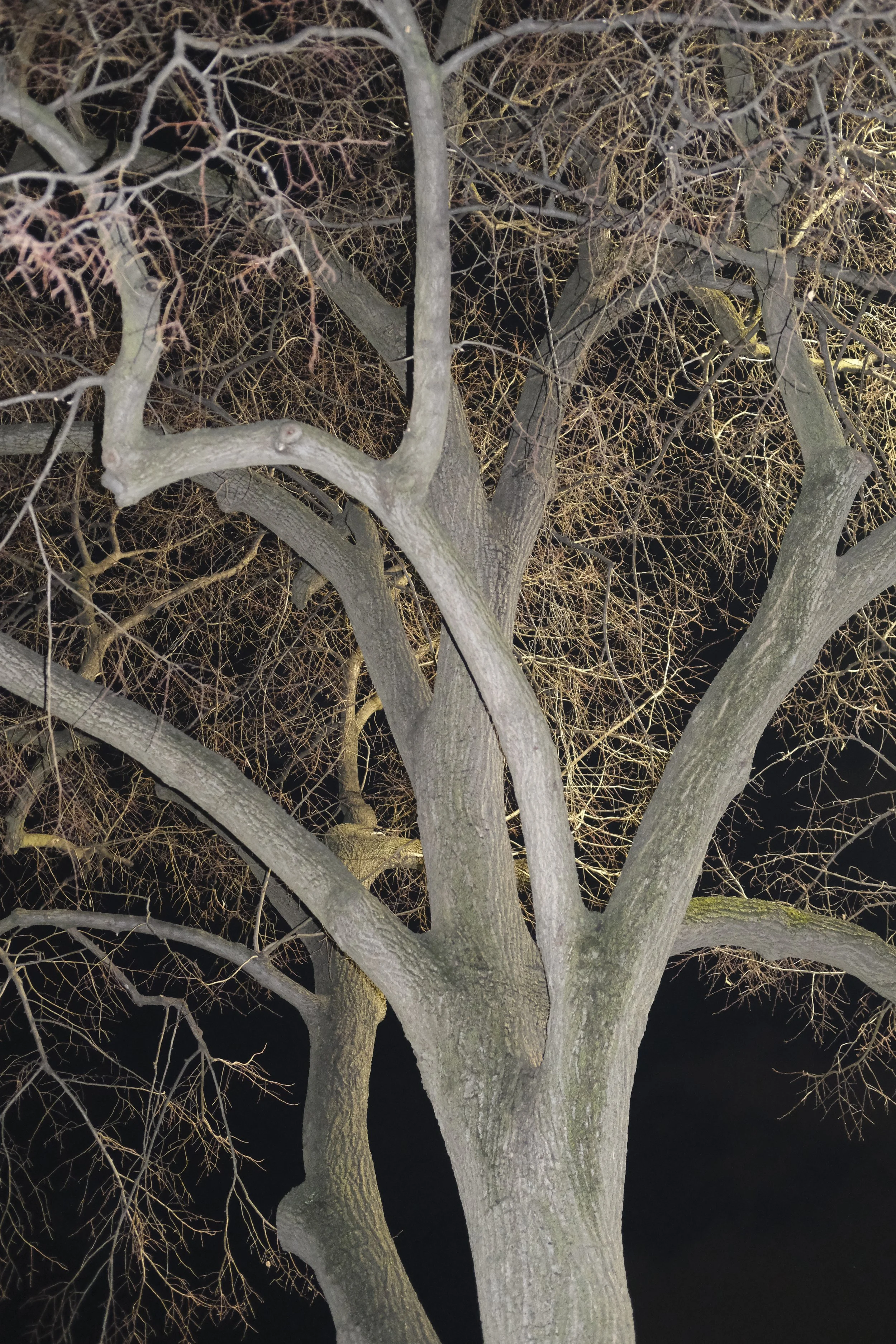 ig_july21 (1 of 1)-3.JPG