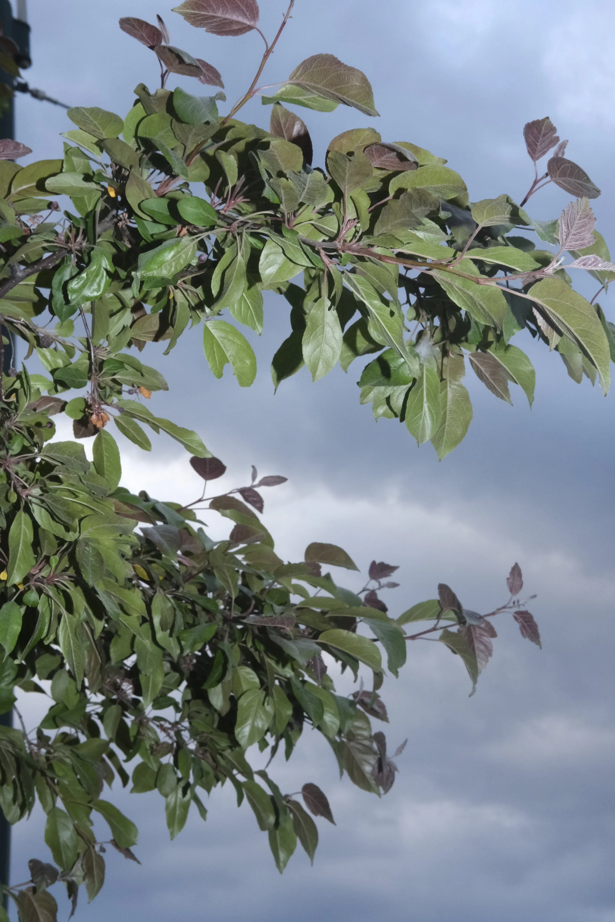 ig_july21 (9 of 10).jpg