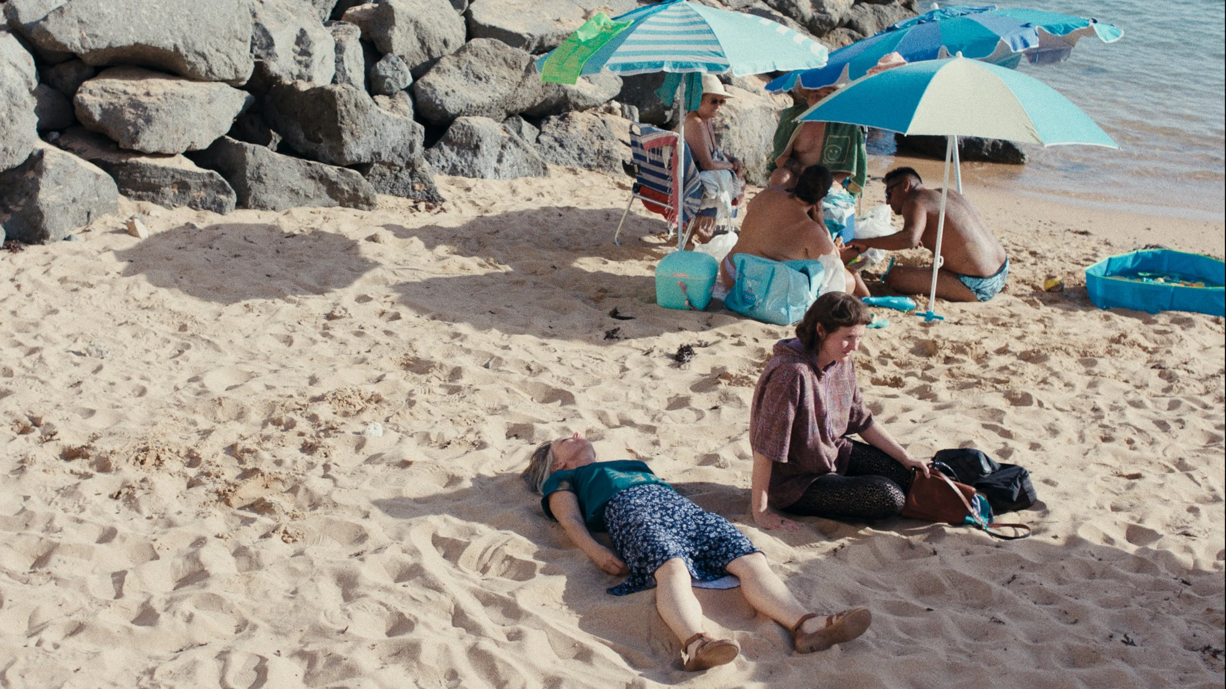 BUTTERFLY_still_02_18_48_05.jpg