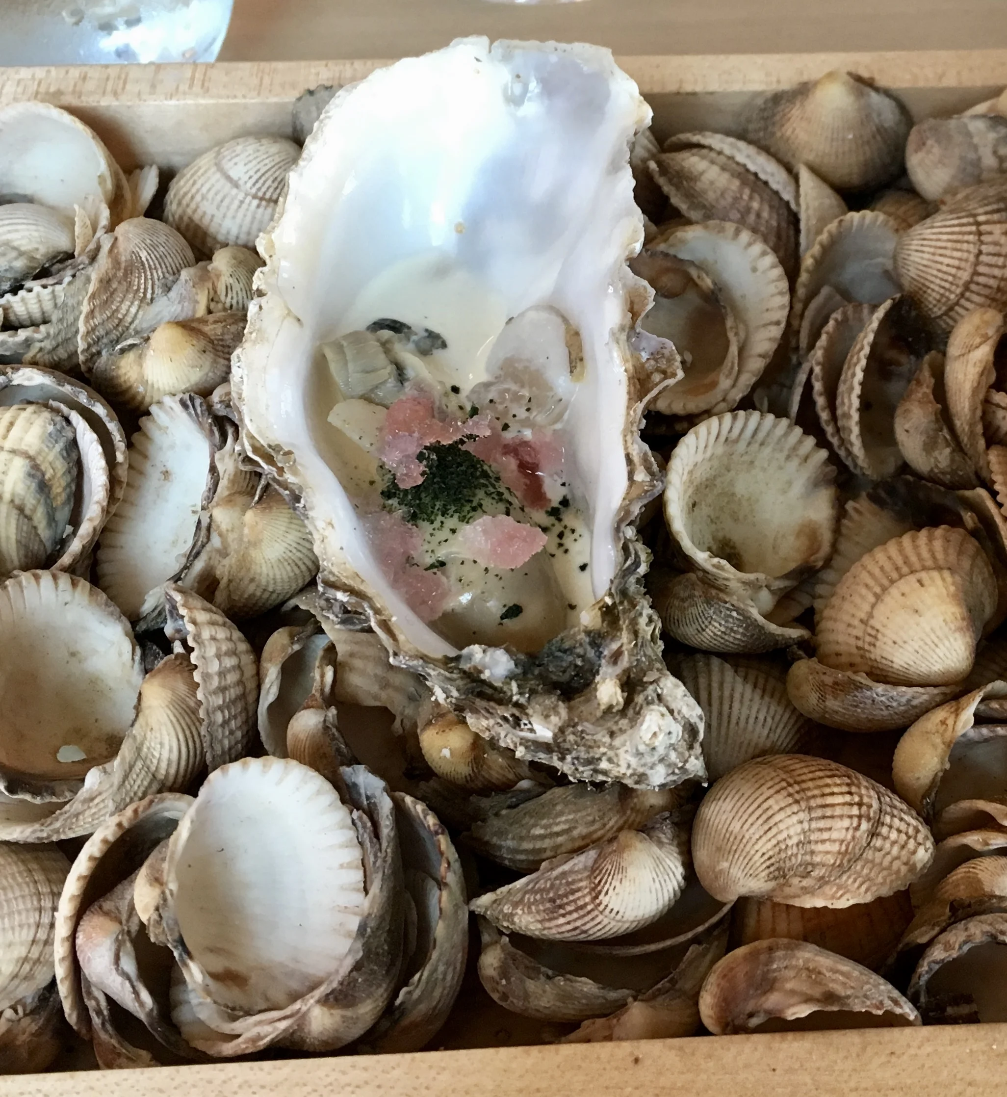 The Sportsman, Seasalter