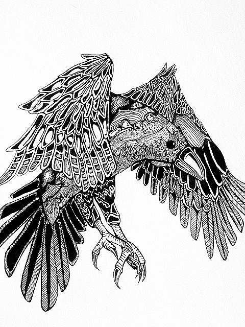 Pen and Ink Raven