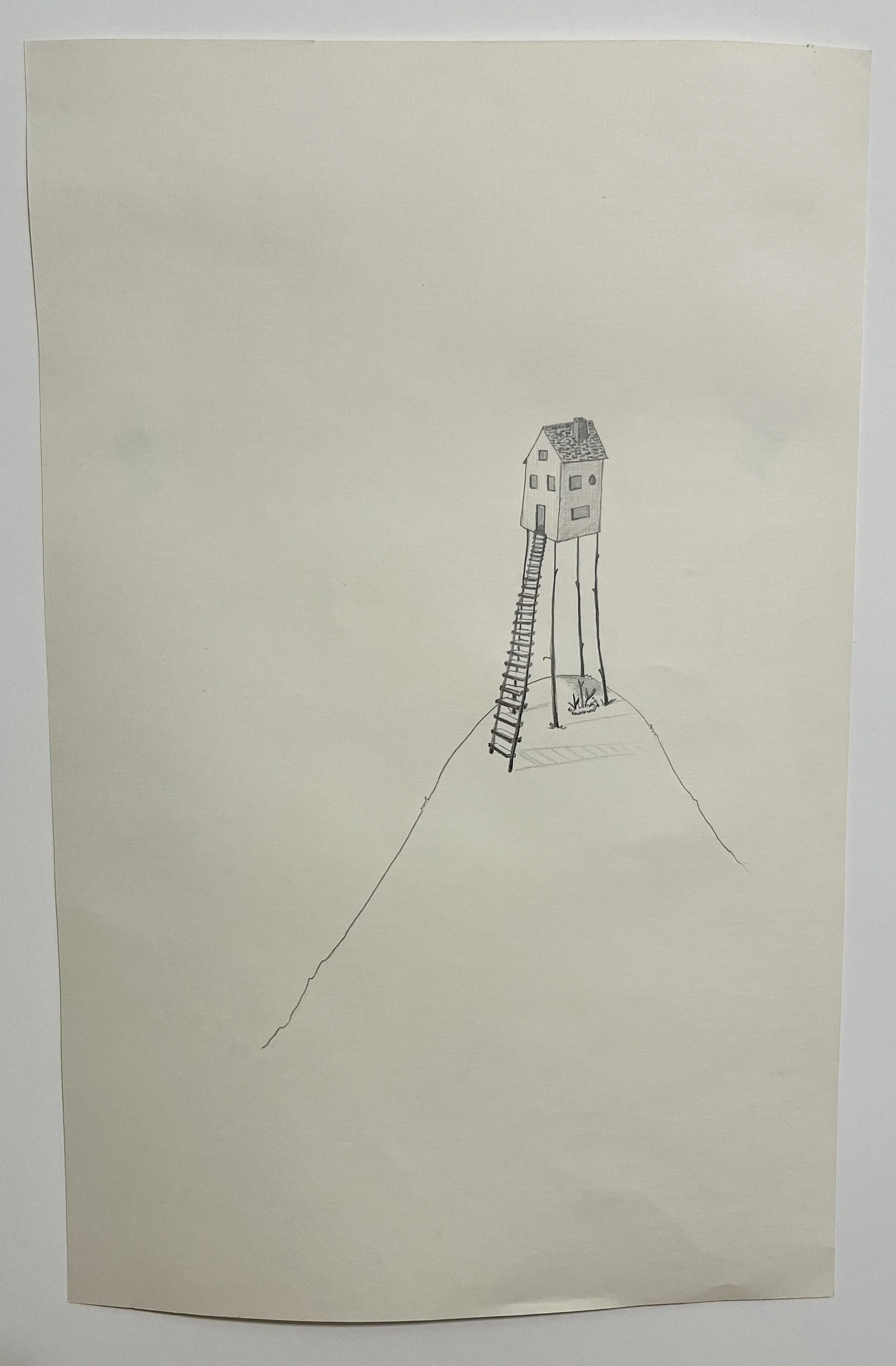 hill house with ladder