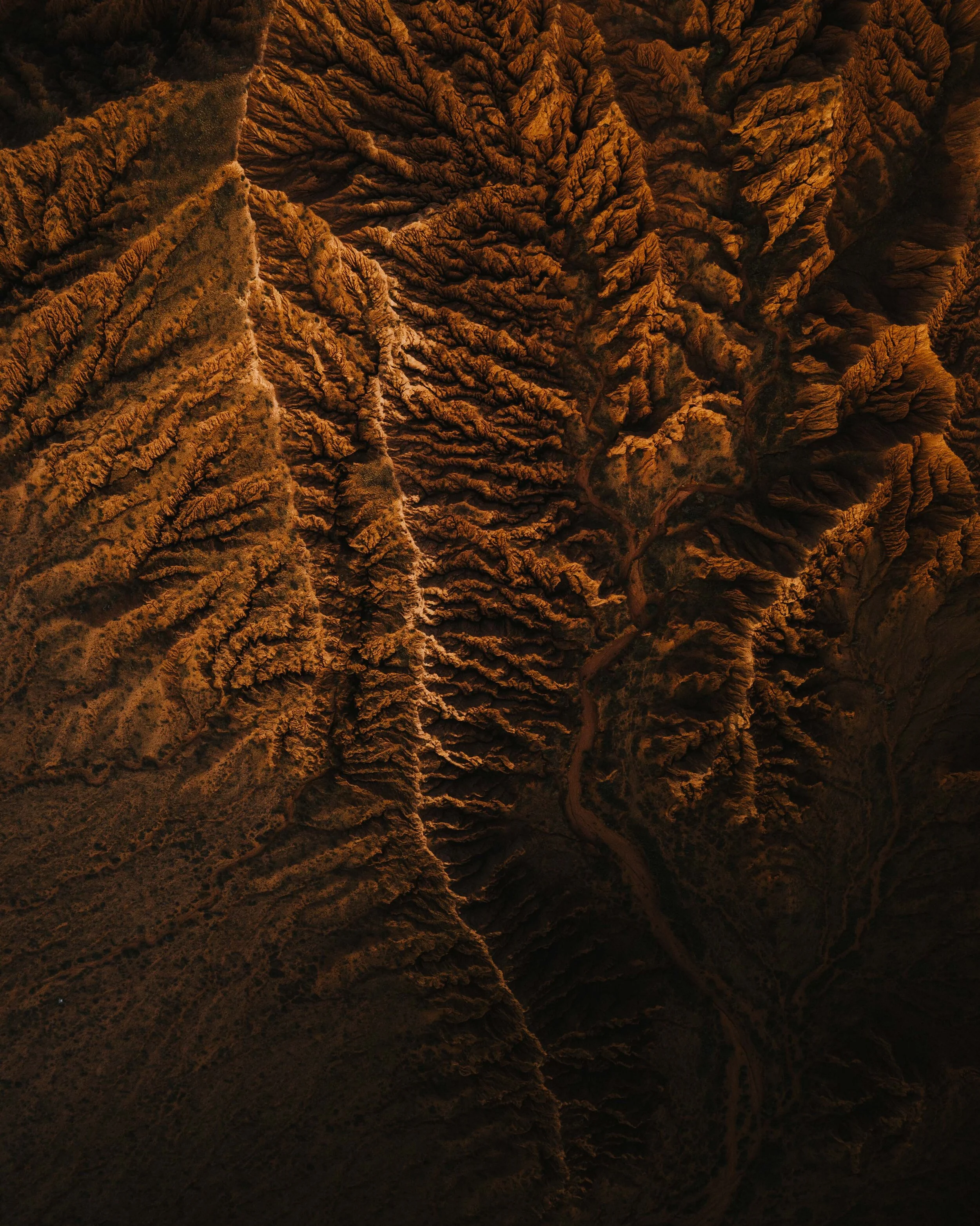 CanyonsKyrgyzstanDrone.jpg